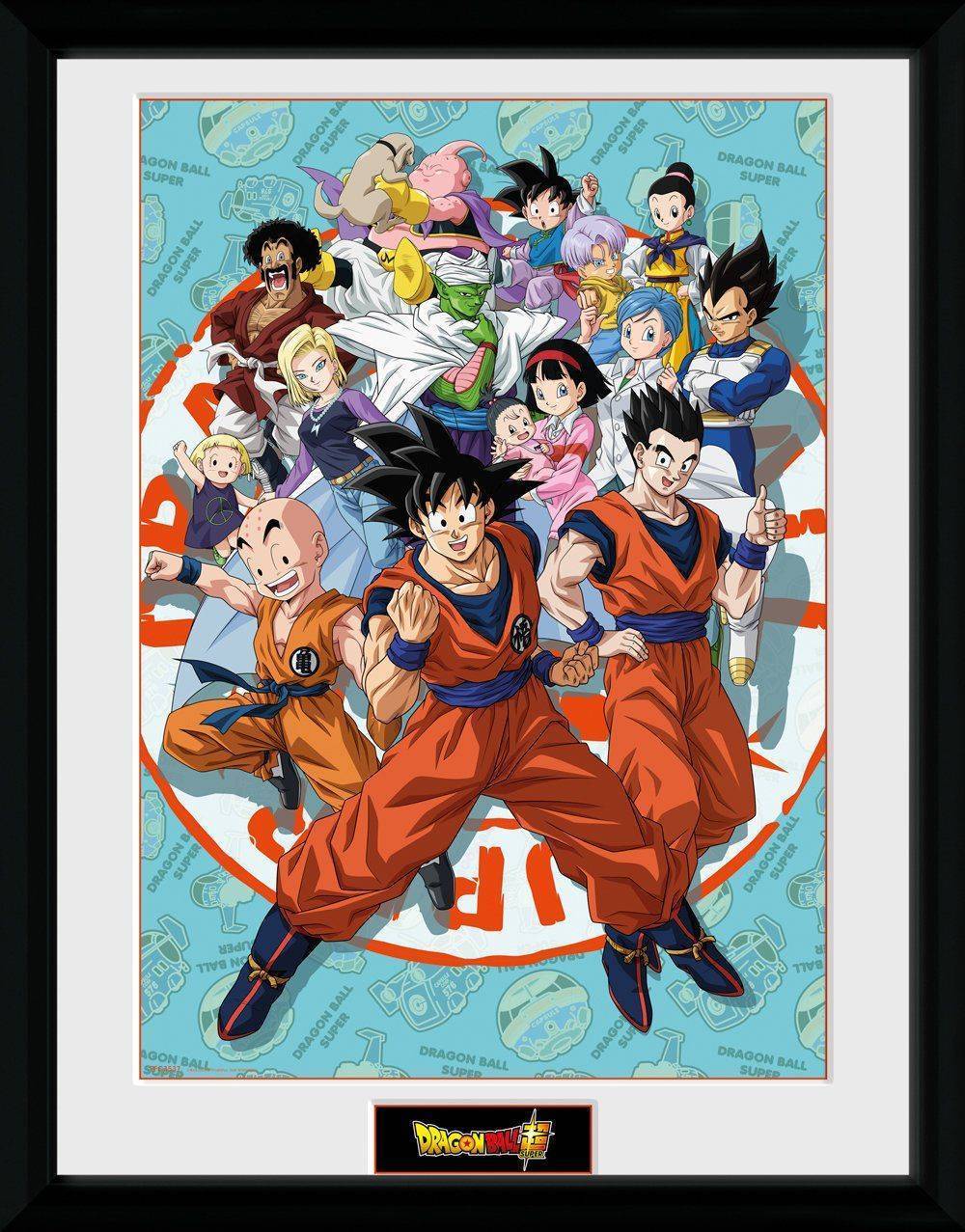 Plakat ramie Dragon Ball Super - Bohaterowie #2 40 x