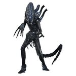 Figurka Aliens Movie Masterpiece 1/6 - Alien Warrior (Deluxe Ver.) [MMS899]