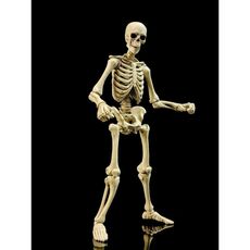 Figurka Epic H.A.C.K.S. 1/12 - Skeleton Blank (Classic Bone)