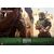 Figurka Star Wars The Book of Boba Fett 1/6 Cad Bane- Zdjęcie 10