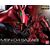 Model figurki GUNDAM RG 1/144 - MSN-04 SAZABI- Zdjęcie 7