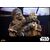 Figurka Star Wars: Imperium Kontratakuje Movie Masterpiece 1/6 - Chewbacca z C-3PO- Zdjęcie 4