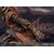 Figurka Sekiro: Shadows Die Twice - Sekiro- Zdjęcie 4