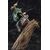 Figurka Attack on Titan ARTFXJ 1/8 Levi Renewal Package Ver.- Zdjęcie 4