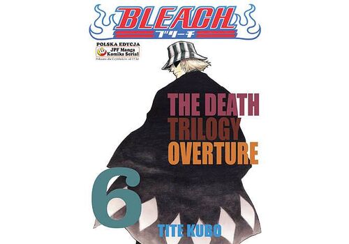 Manga Bleach Tom 6