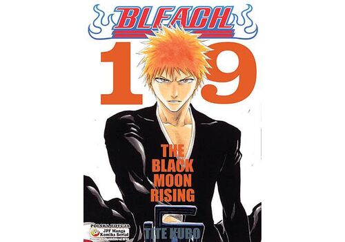 Manga Bleach Tom 19