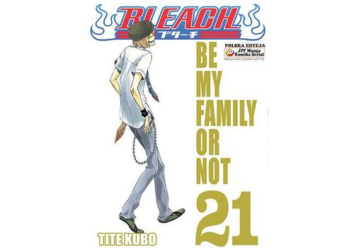Manga Bleach Tom 21