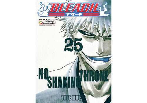 Manga Bleach Tom 25