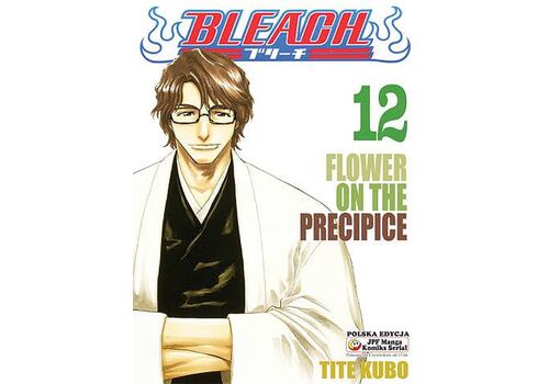 Manga Bleach Tom 12
