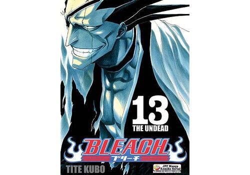 Manga Bleach Tom 13