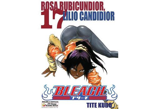 Manga Bleach Tom 17