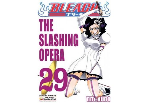 Manga Bleach Tom 29