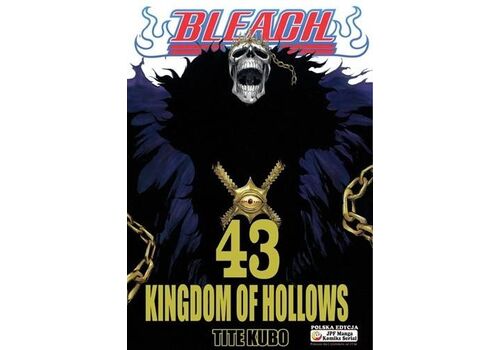 Manga Bleach Tom 43
