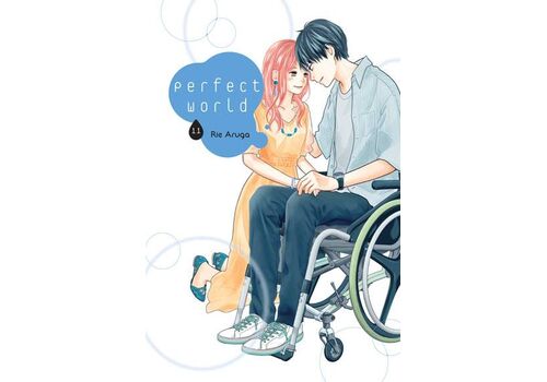 Manga Perfect World Tom 11