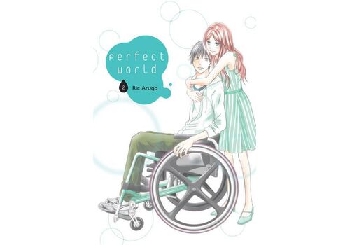 Manga Perfect World Tom 2
