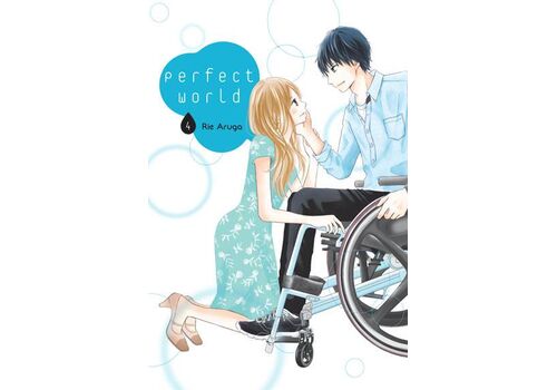 Manga Perfect World Tom 4