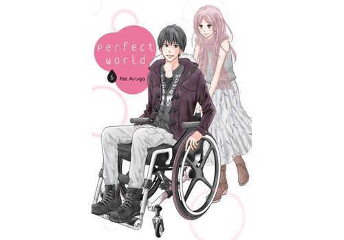 Manga Perfect World Tom 6