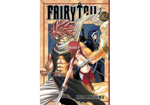 Manga Fairy Tail Tom 12