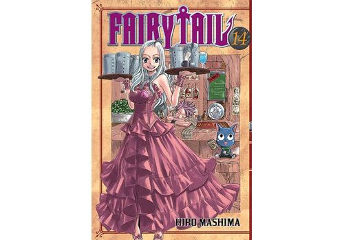 Manga Fairy Tail Tom 14