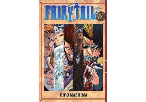 Manga Fairy Tail Tom 17