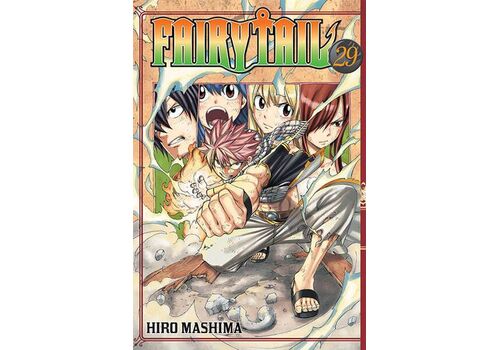 Manga Fairy Tail Tom 29