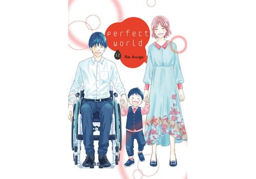 Manga Perfect World Tom 12