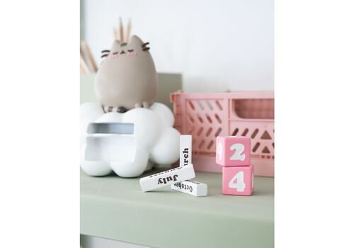 Figurka kalendarz Pusheen - Purrfect Love- Zdjęcie 5