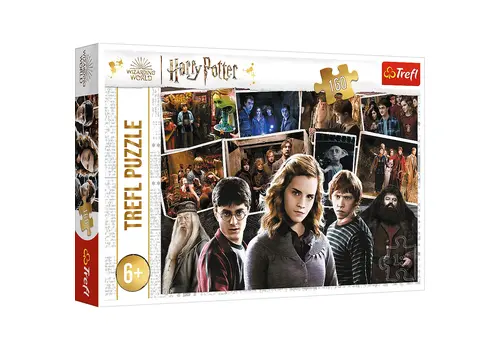 Puzzle Harry Potter - Harry Potter i przyjaciele (160 elementów)