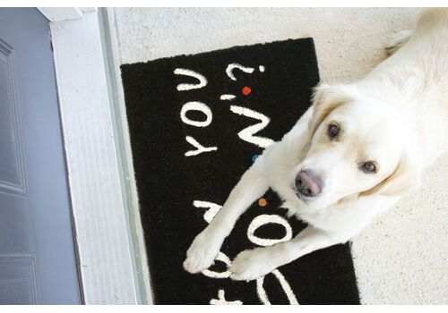 Wycieraczka Friends / Przyjaciele - How You Doin'? #2 40 x 60 cm- Zdjęcie 3