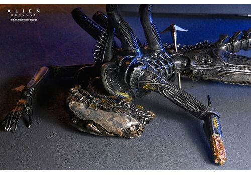 Figurka Obcy: Romulus - Deluxe Suspended Lab Xenomorph XX121- Zdjęcie 15