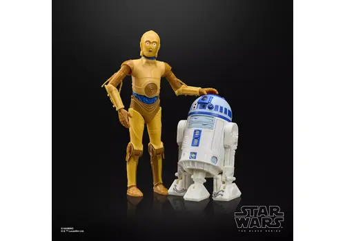 Figurka Star Wars Droids Black Series - See-Threepio (C-3PO)- Zdjęcie 7
