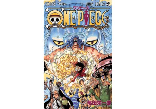 Manga One Piece Tom 65