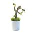Roślinka z figurką Guardians of the Galaxy - Groot (świeci w ciemności) 18 cm