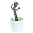 Roślinka z figurką Guardians of the Galaxy - Groot (świeci w ciemności) 18 cm- Zdjęcie 3