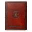 Notes premium Harry Potter - Złoty Znicz- Zdjęcie 2
