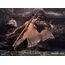 Figurka Sekiro: Shadows Die Twice - Sekiro- Zdjęcie 8