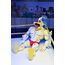 Figurka Teenage Mutant Ninja Turtles (Archie Comics) - Stump Wrestling Ace Duck- Zdjęcie 8