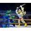 Figurka Teenage Mutant Ninja Turtles (Archie Comics) - Stump Wrestling Ace Duck- Zdjęcie 15