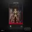 Figurka Star Wars Black Series (Attack of the Clones) - Geonosian Warrior- Zdjęcie 6