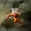 [Outlet] Figurka One Punch Man SFC - Saitama *OTWIERANA*- Zdjęcie 9