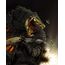 Figurka Godzilla vs. Biollante (1989) S.H. MonsterArts - Biollante (Wakasa Bay Decisive Battle Ver.)- Zdjęcie 9