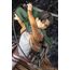 Figurka Attack on Titan ARTFXJ 1/8 Levi Renewal Package Ver.- Zdjęcie 9