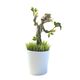 Roślinka z figurką Guardians of the Galaxy - Groot (świeci w ciemności) 18 cm