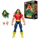 Figurka Marvel Legends (The Incredible Hulk) - Doc Samson